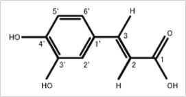 Caffeic acid ̉w\